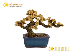 Mai ngũ phúc vàng lá 24k, bon sai mai vàng