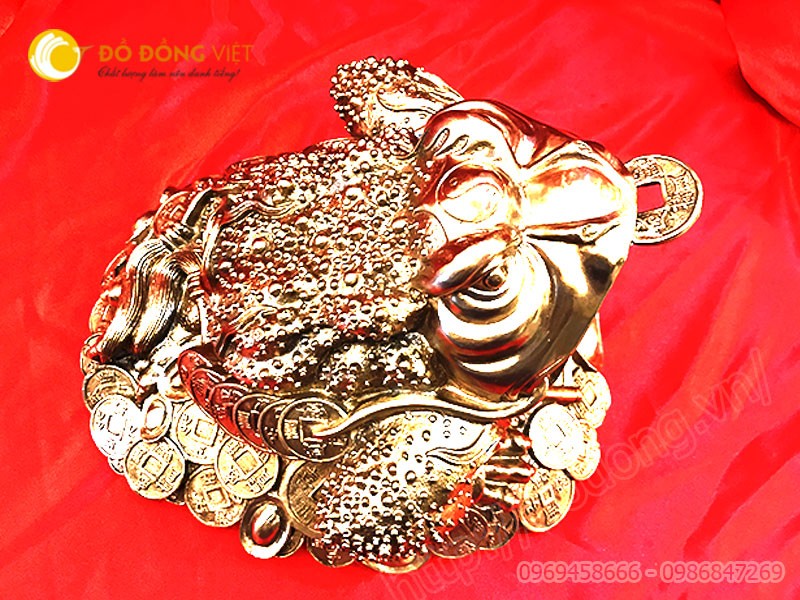 coc-phong-thuy-bang-dong