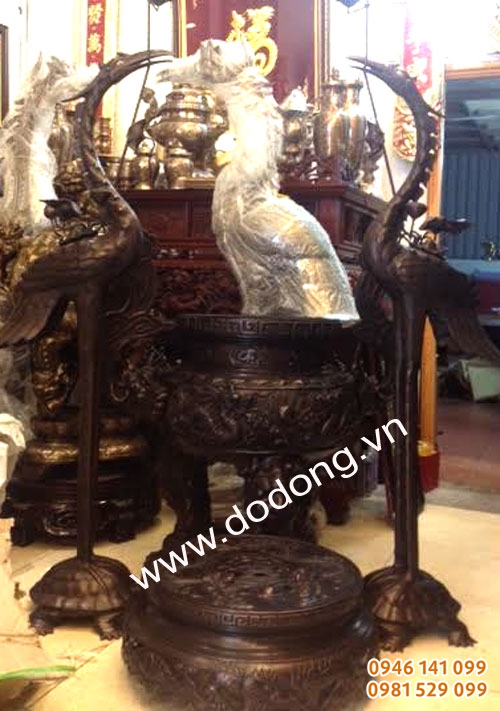 hạc đồng 1,55m