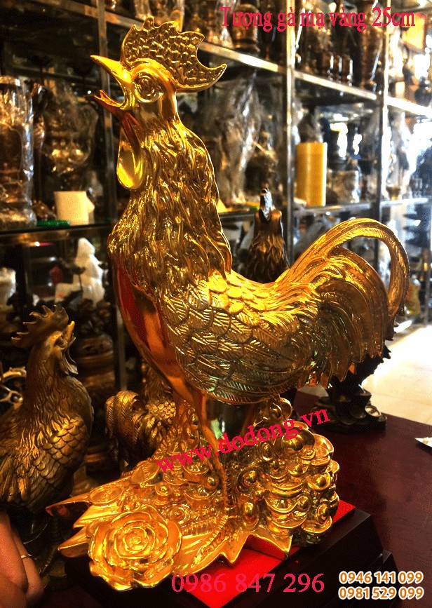 mẫu gà đồng mạvangf