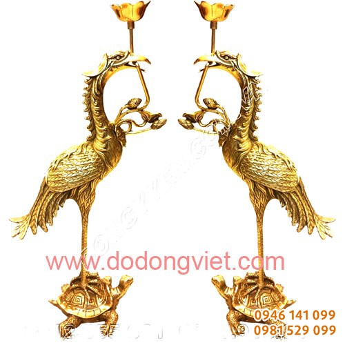đôi nền đồng dapha
