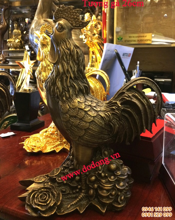 các mẫu gà đẹp