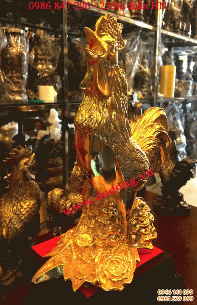 sản phẩm gà đồng cao cấp