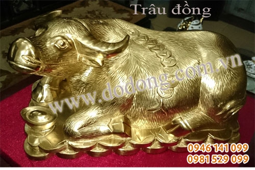 Trấu đồng phong thủy