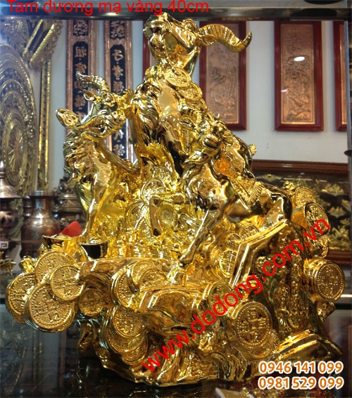 de tam thế