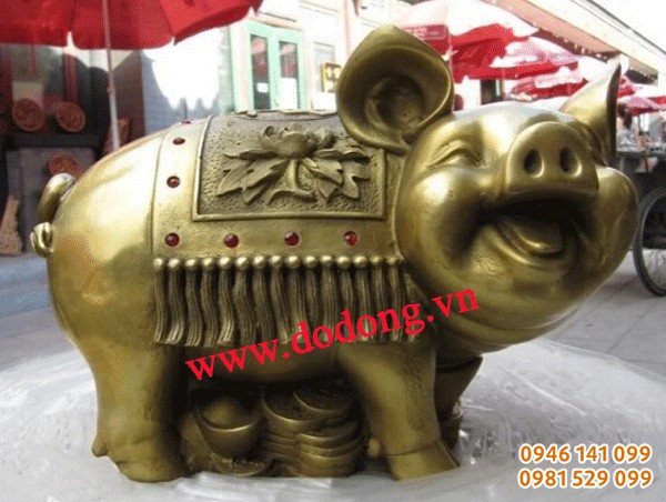 heo ngộ nghĩnh